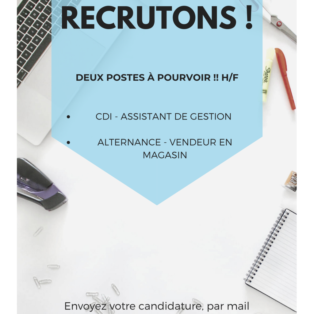 Nexio Informatique recrute